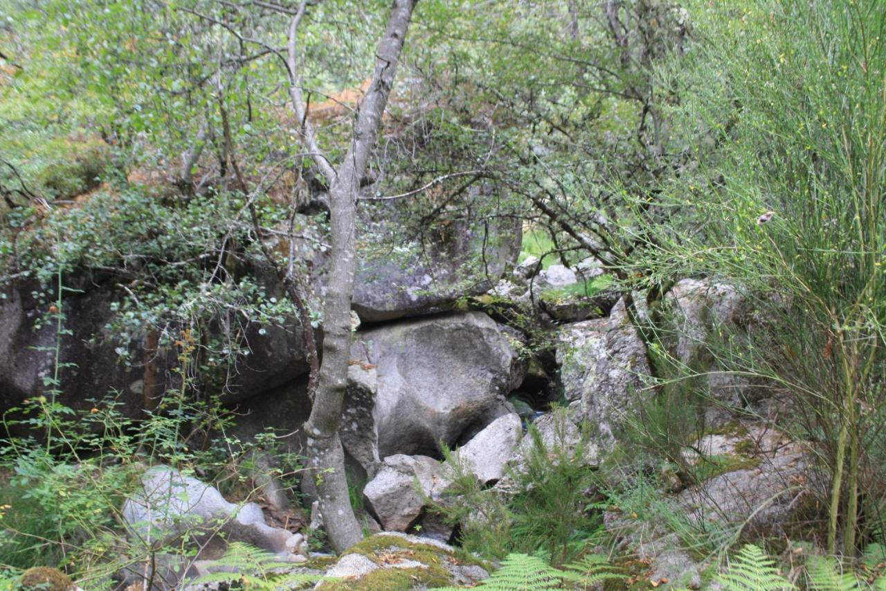 Retiro Da Arminda Villa Canedo  Eksteriør bilde
