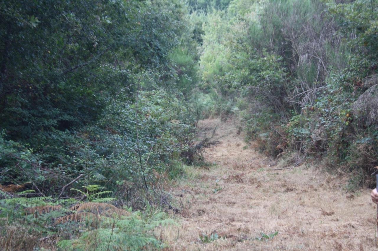 Retiro Da Arminda Villa Canedo  Eksteriør bilde