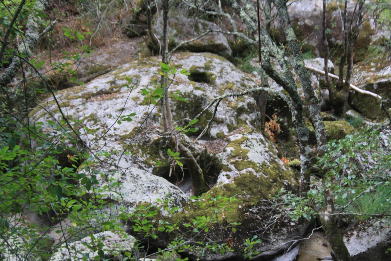 Retiro Da Arminda Villa Canedo  Eksteriør bilde