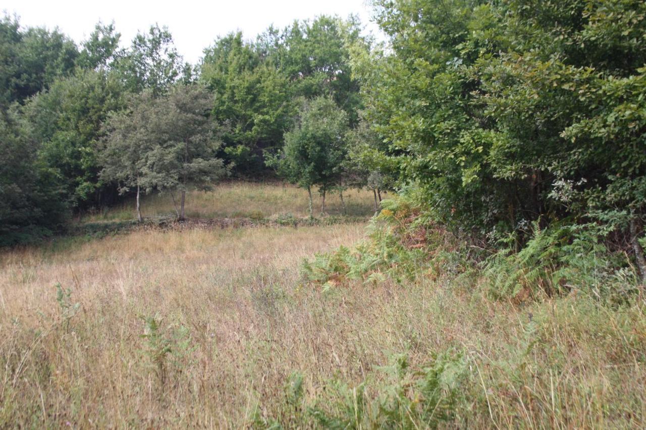 Retiro Da Arminda Villa Canedo  Eksteriør bilde